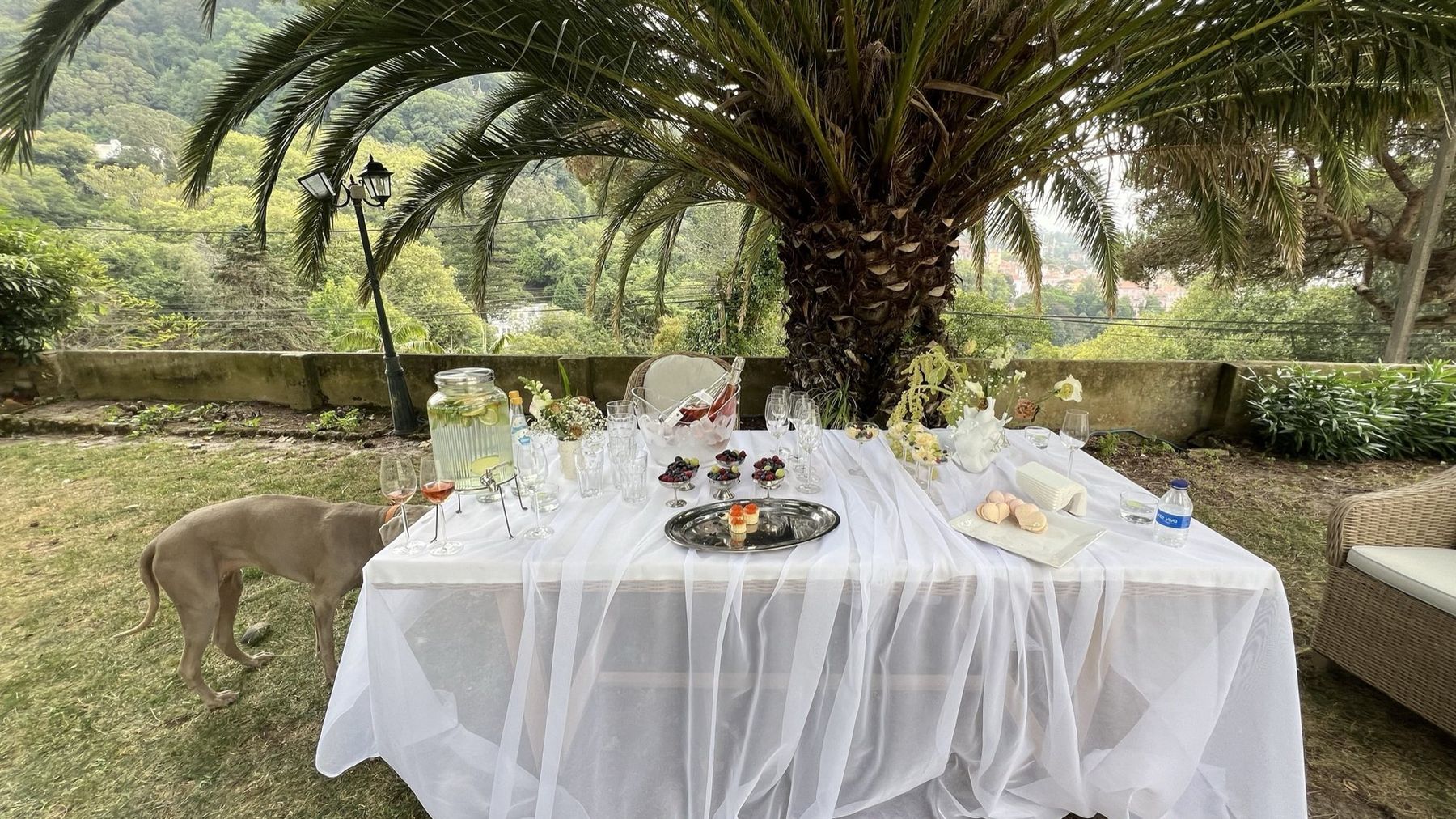 Um jardim preparado para jantar ao anoitecer